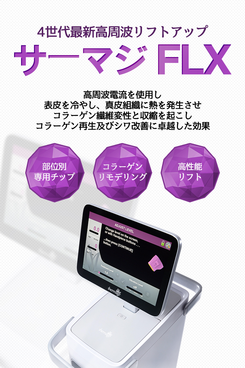 サーマジFLX - 梨泰院